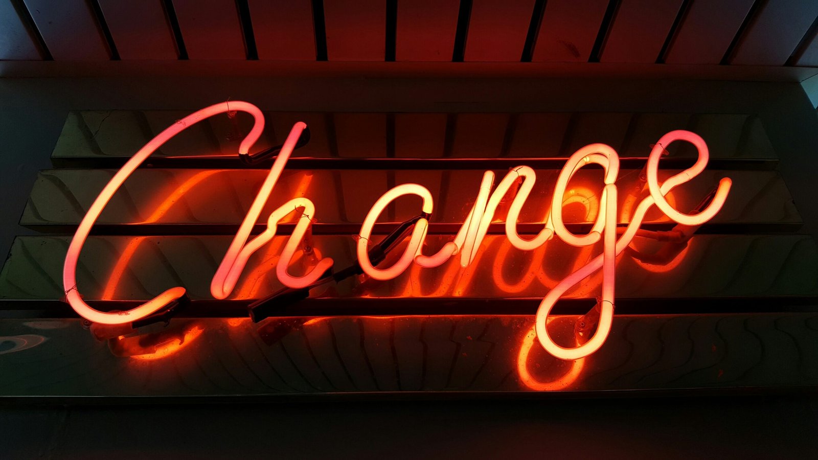 Thriving Through Change: Strategies for Organizational Adaptation